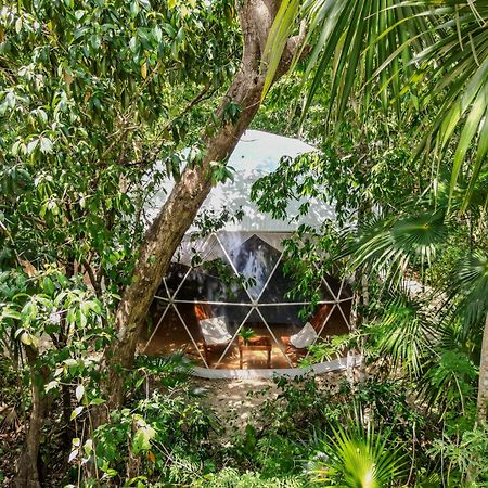Appartement Ku Kuk Glamping à Chemuyil Extérieur photo